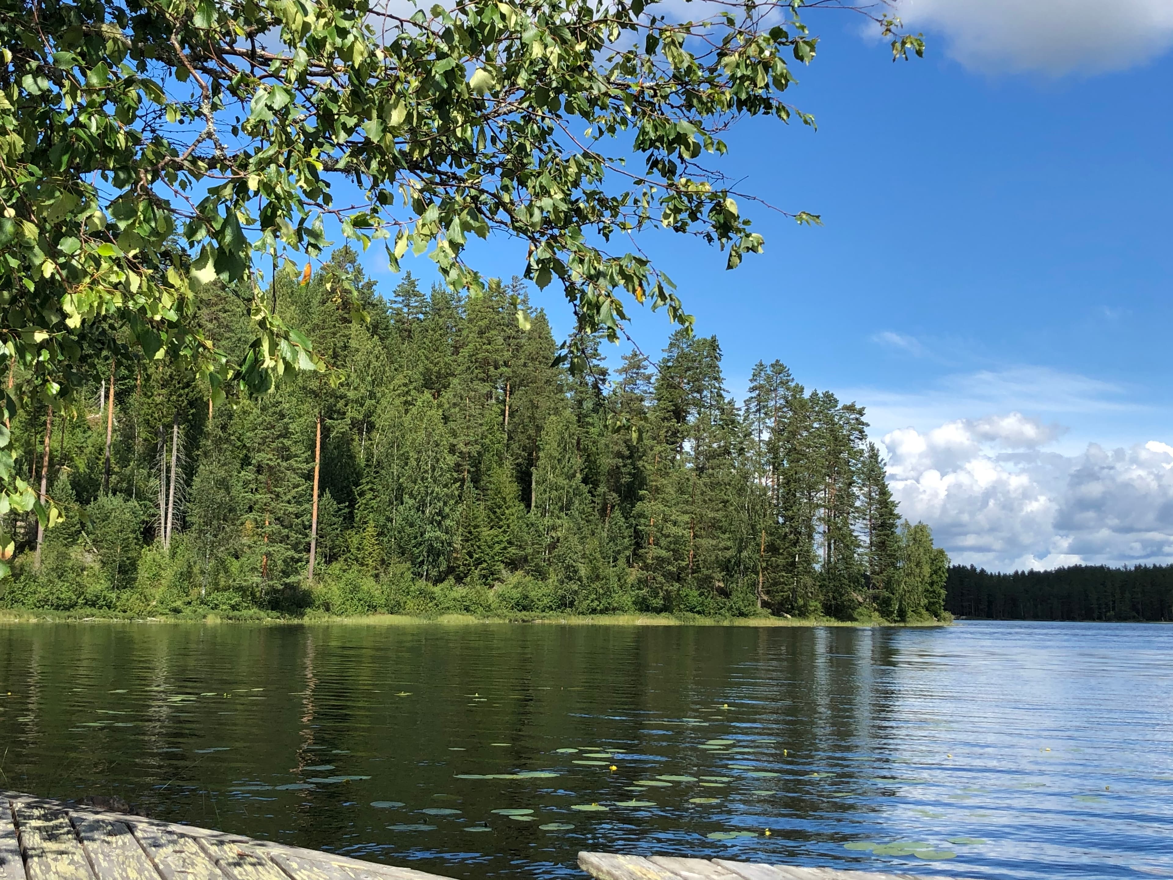 Eksotisk jakt på Finnskogen
